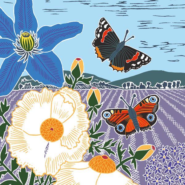 Meadow Butterflies