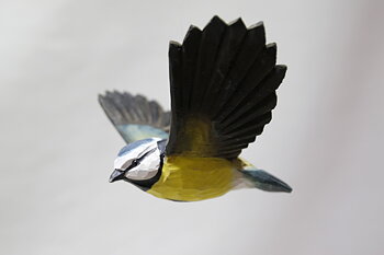Eurasian blue tit flying 13x9 cm