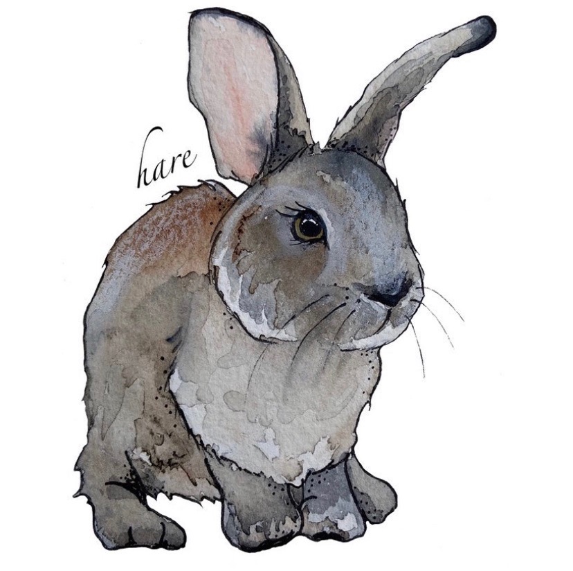 Mössa hare - 2