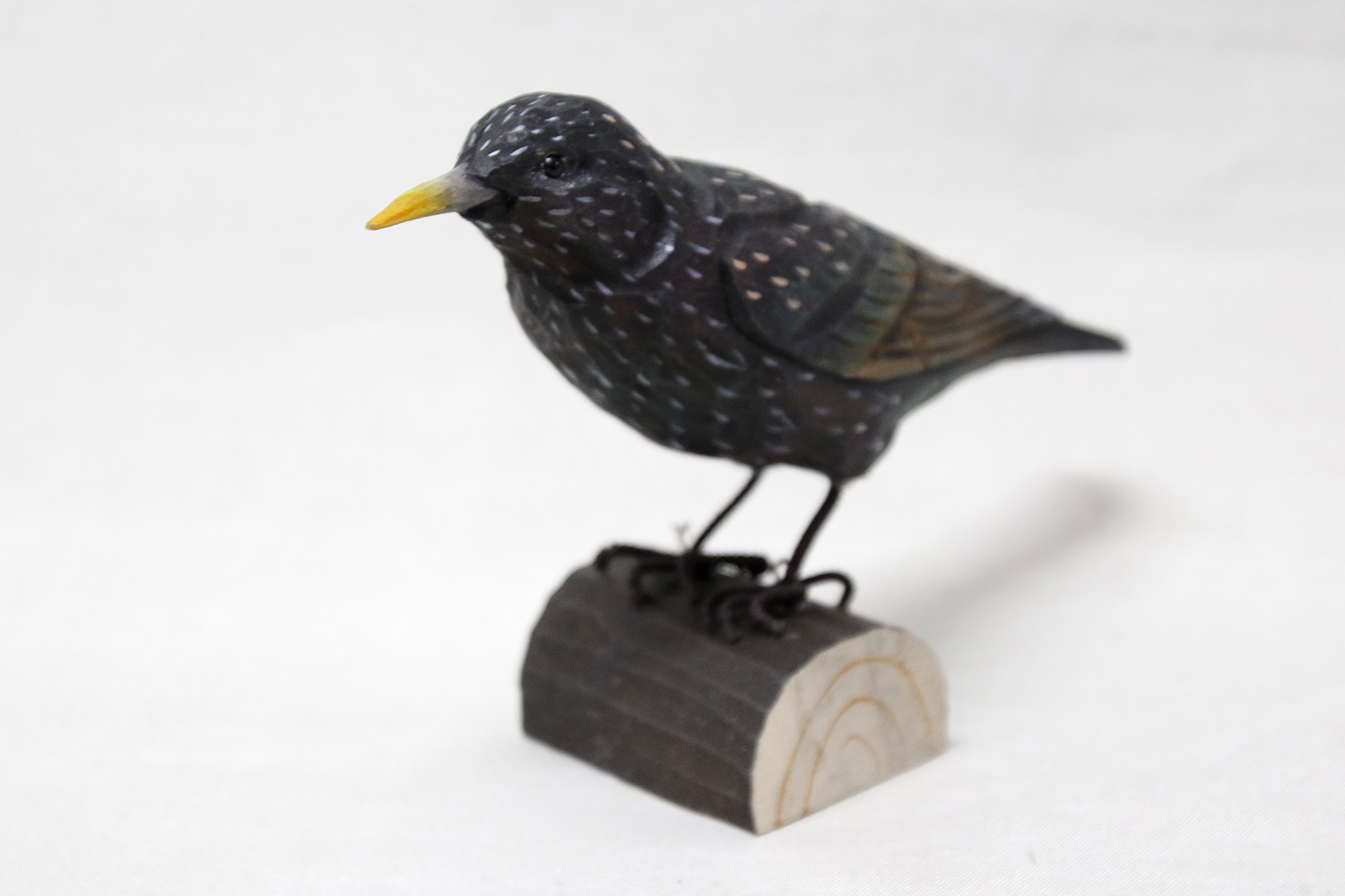 Common starling wood 17x12x5 cm - 2