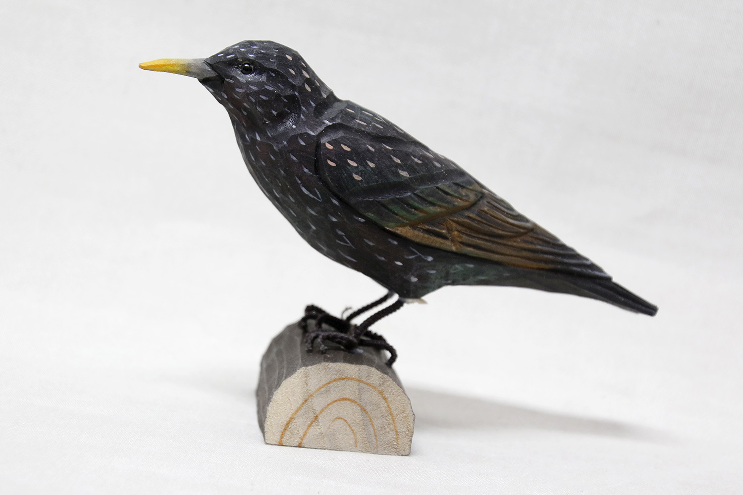 Common starling wood 17x12x5 cm
