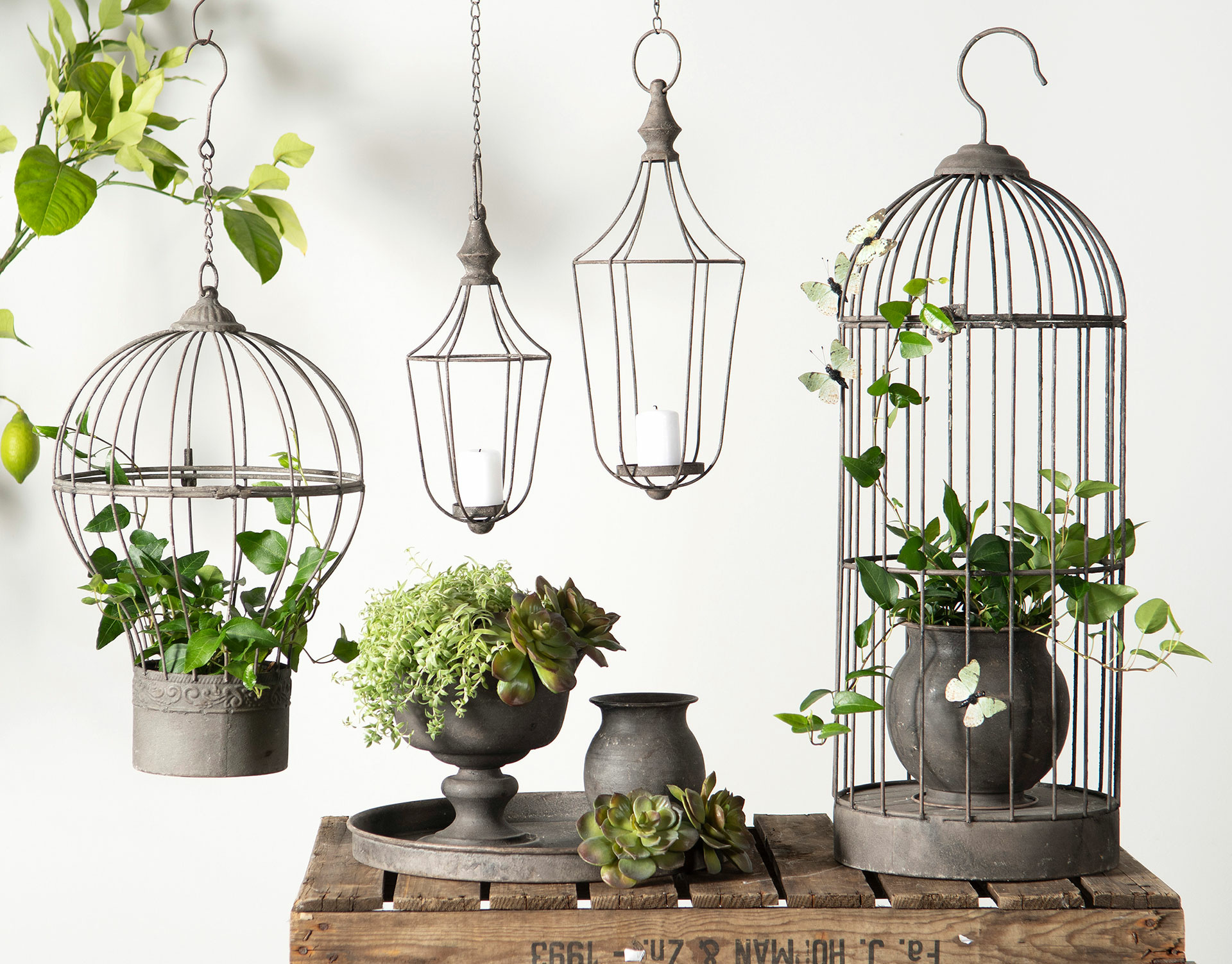 Lantern – Hanging basket – Hanging lantern – Light lantern with chain – Large - 6