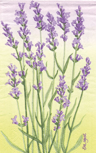 Lavendel lila Towelservett, 20 servetter/fp