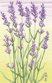 Lavendel lila Towelservett, 20 servetter/fp