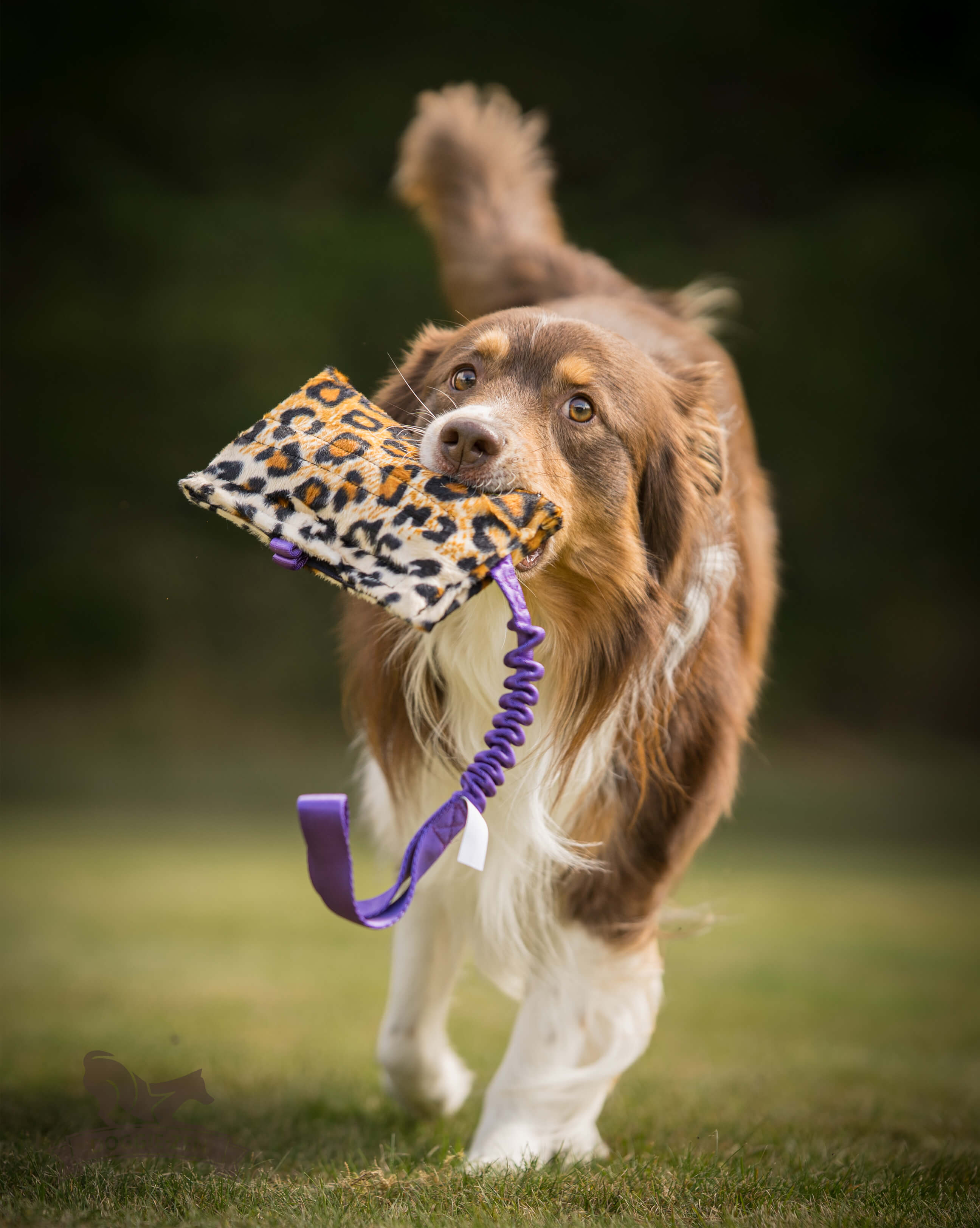 Bungee Treat Tug Fake Fur XL - 10