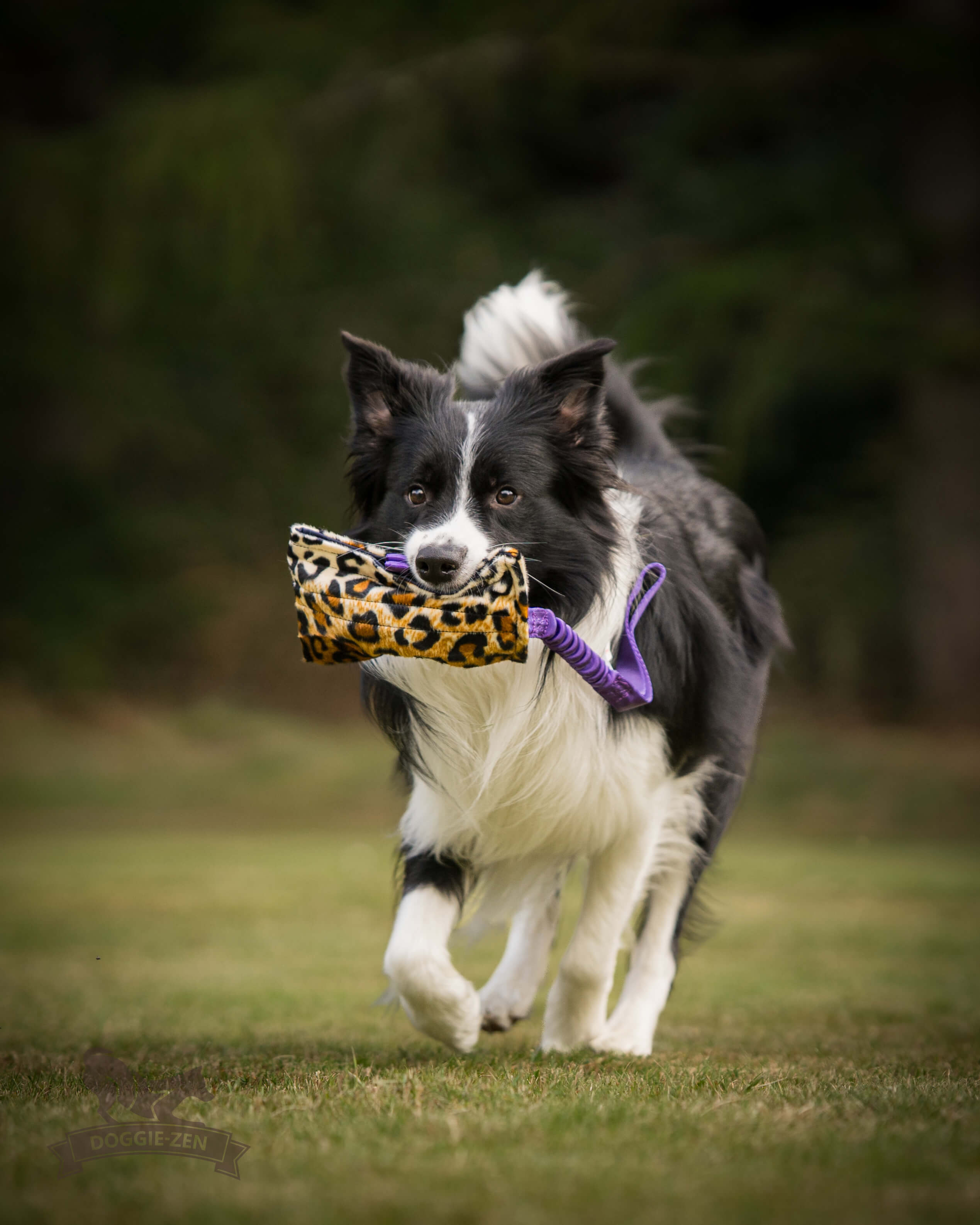 Bungee Treat Tug Fake Fur XL - 3