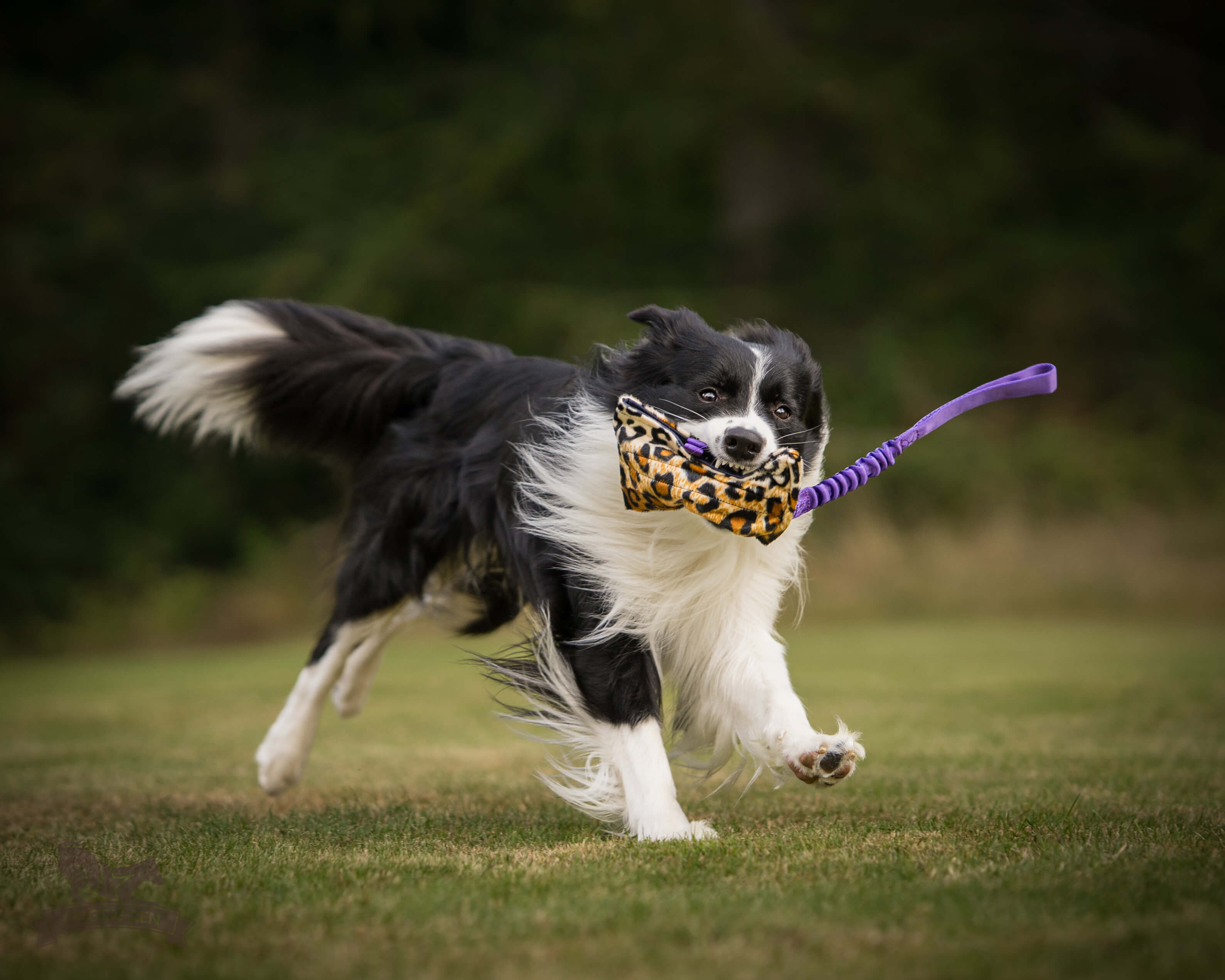 Bungee Treat Tug Fake Fur XL - 7