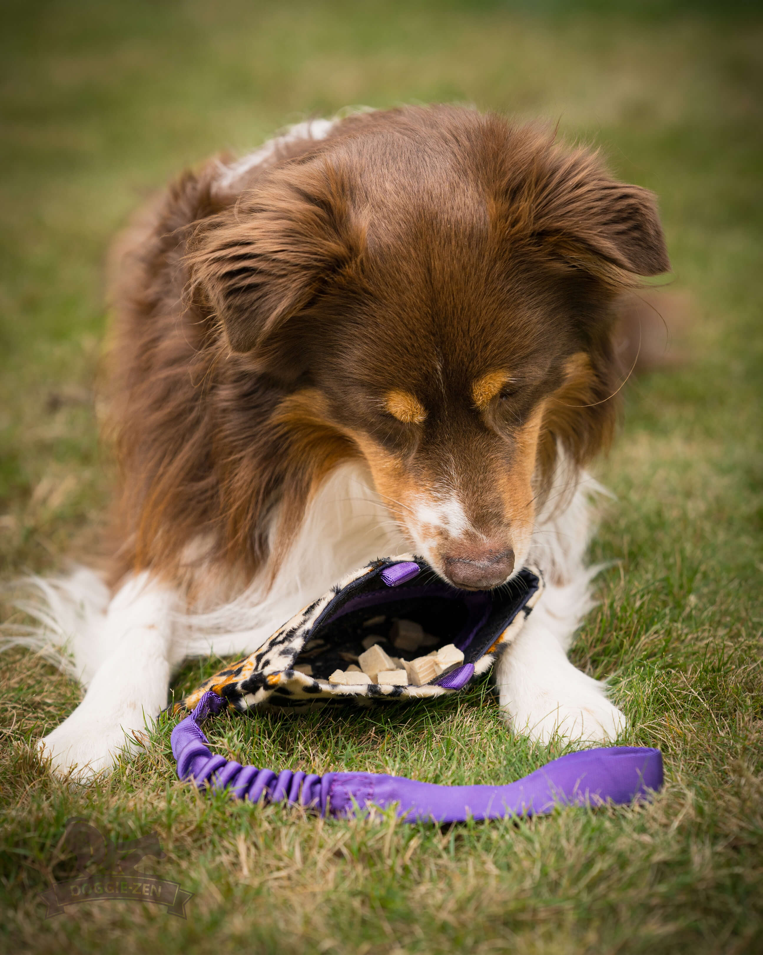 Bungee Treat Tug Fake Fur XL - 4