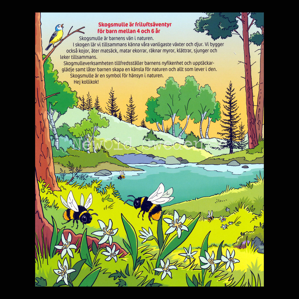Måla med Skogsmulle - S10 - 2
