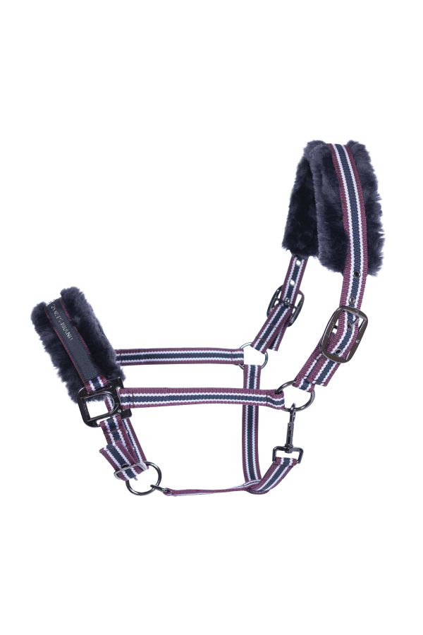 Grimma Cavallo Helia - 5