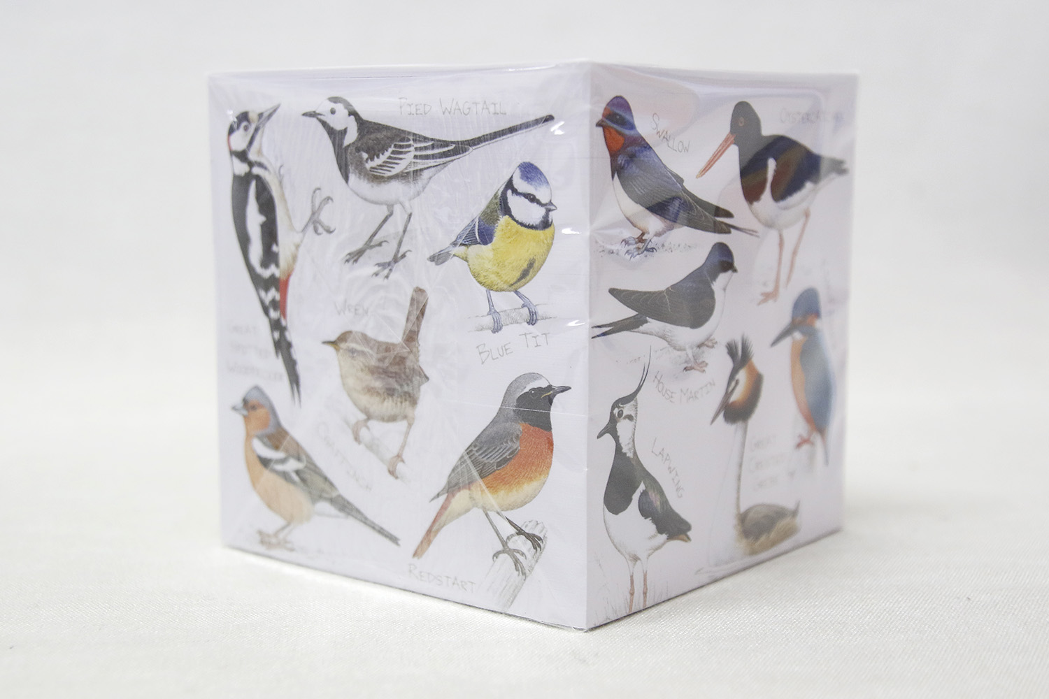 Note Cube Fåglar 10x10 cm