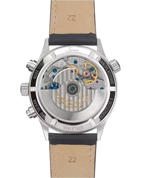 6099.010 Sinn 6099