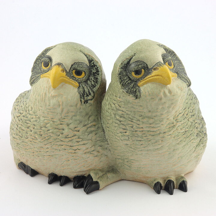Paul Hoff (Arctic 1984) Gorgeous Great Gray Owl Babies 20/15 cm