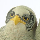 Paul Hoff (Arctic 1984) Gorgeous Great Gray Owl Babies 20/15 cm