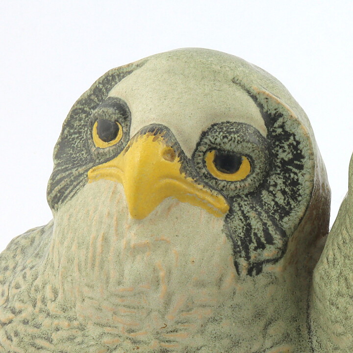 Paul Hoff (Arctic 1984) Gorgeous Great Gray Owl Babies 20/15 cm