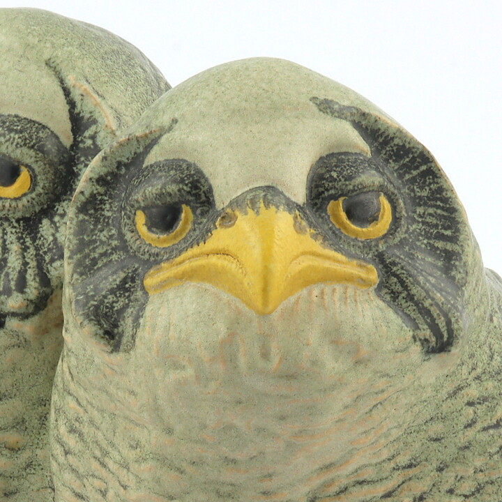 Paul Hoff (Arctic 1984) Gorgeous Great Gray Owl Babies 20/15 cm