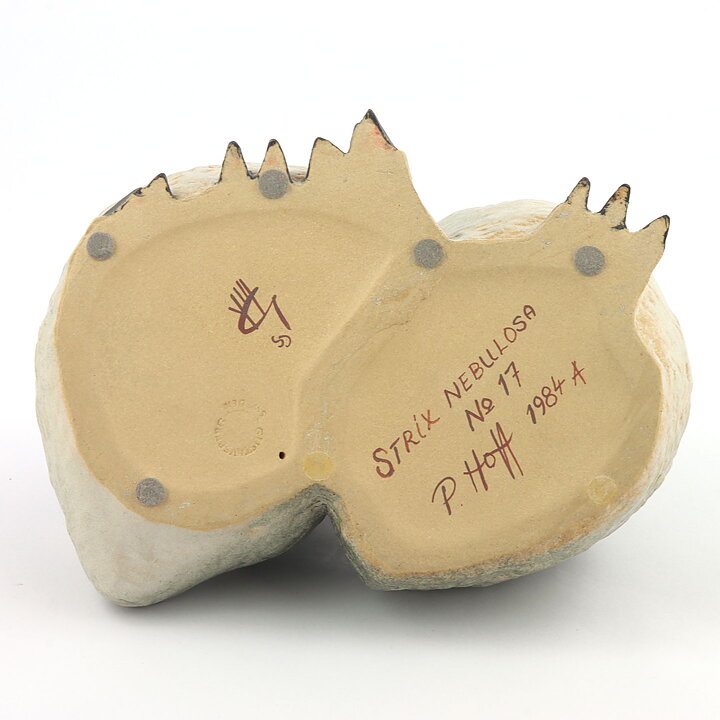 Paul Hoff (Arctic 1984) Gorgeous Great Gray Owl Babies 20/15 cm