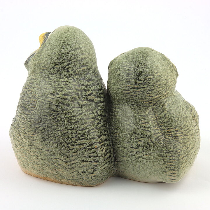 Paul Hoff (Arctic 1984) Gorgeous Great Gray Owl Babies 20/15 cm