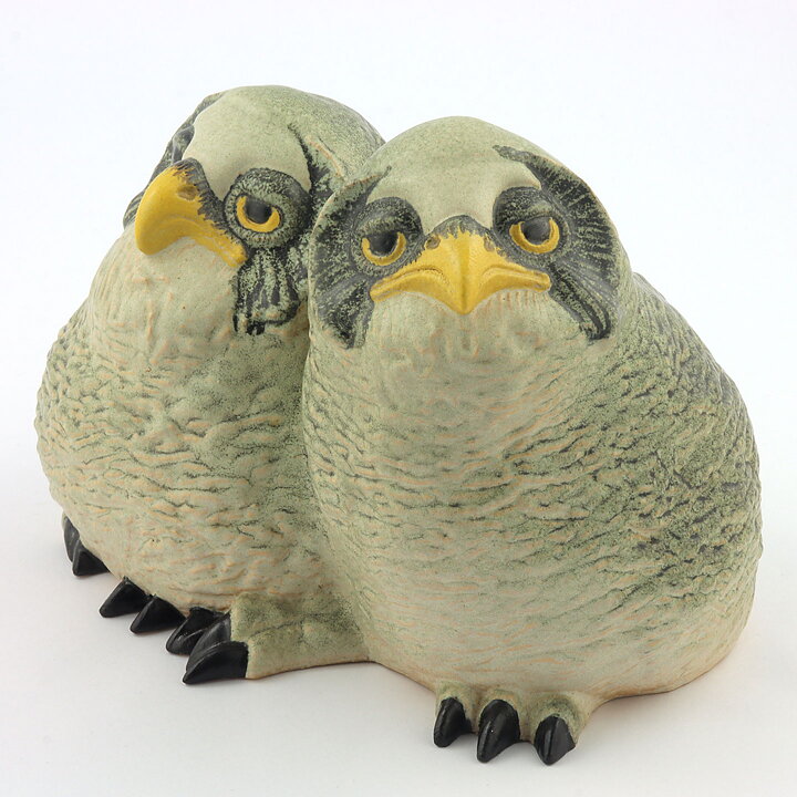 Paul Hoff (Arctic 1984) Gorgeous Great Gray Owl Babies 20/15 cm