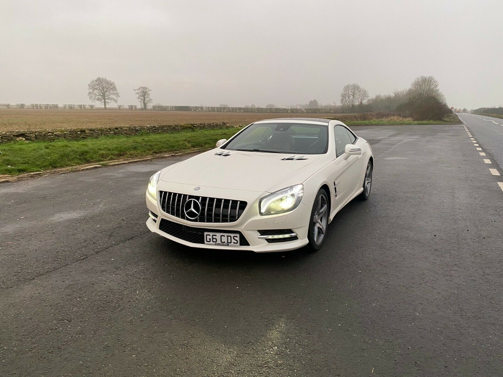 1. AMG GT-R PANAMERICAN look grill 2013-2015 - 6
