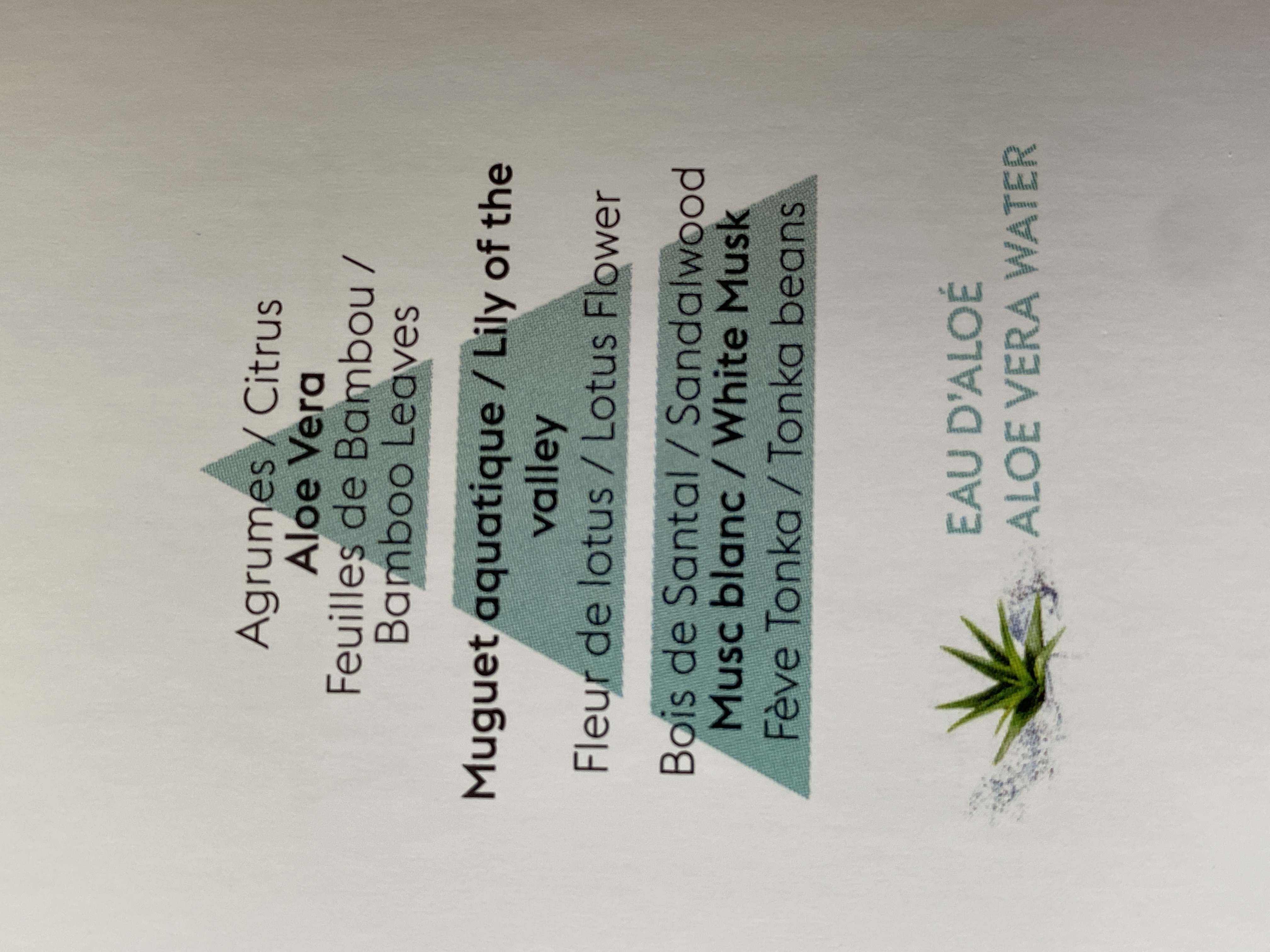 Aloe Vera Water - 2