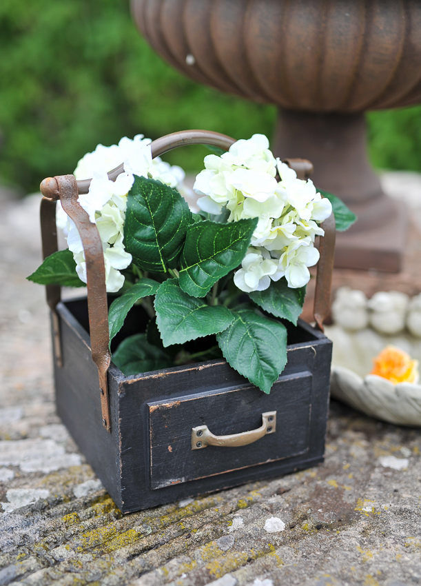 Hydrangea in plastic pot - 30 cm - 3