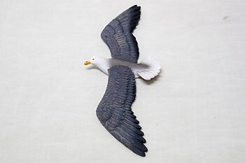Great black-backed gull Flying 27x11 cm
