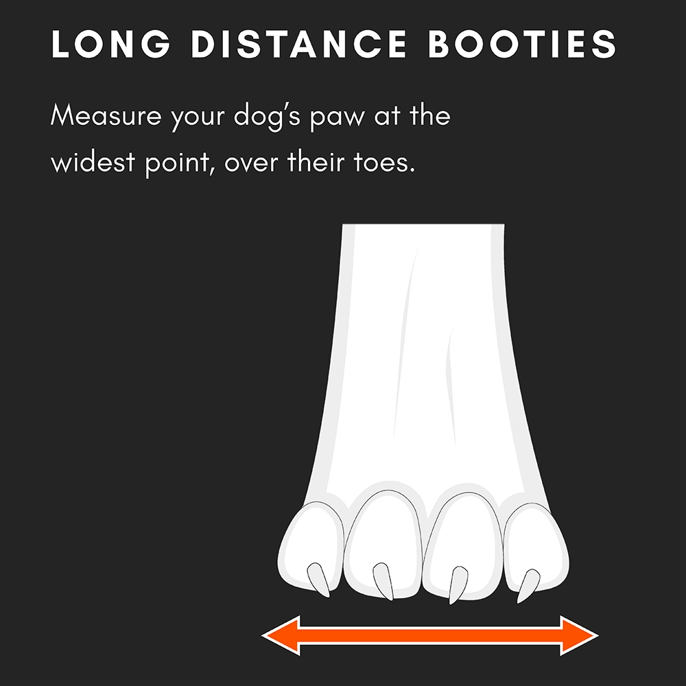 Non-stop Long distance hundsko 4-pack - 7