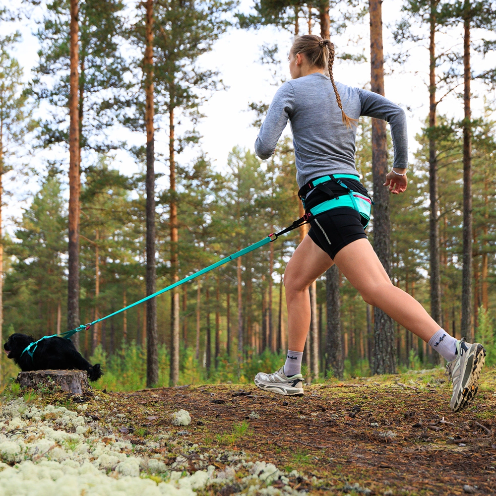 Comfortable and soft canicross belt for dogs jogging belt