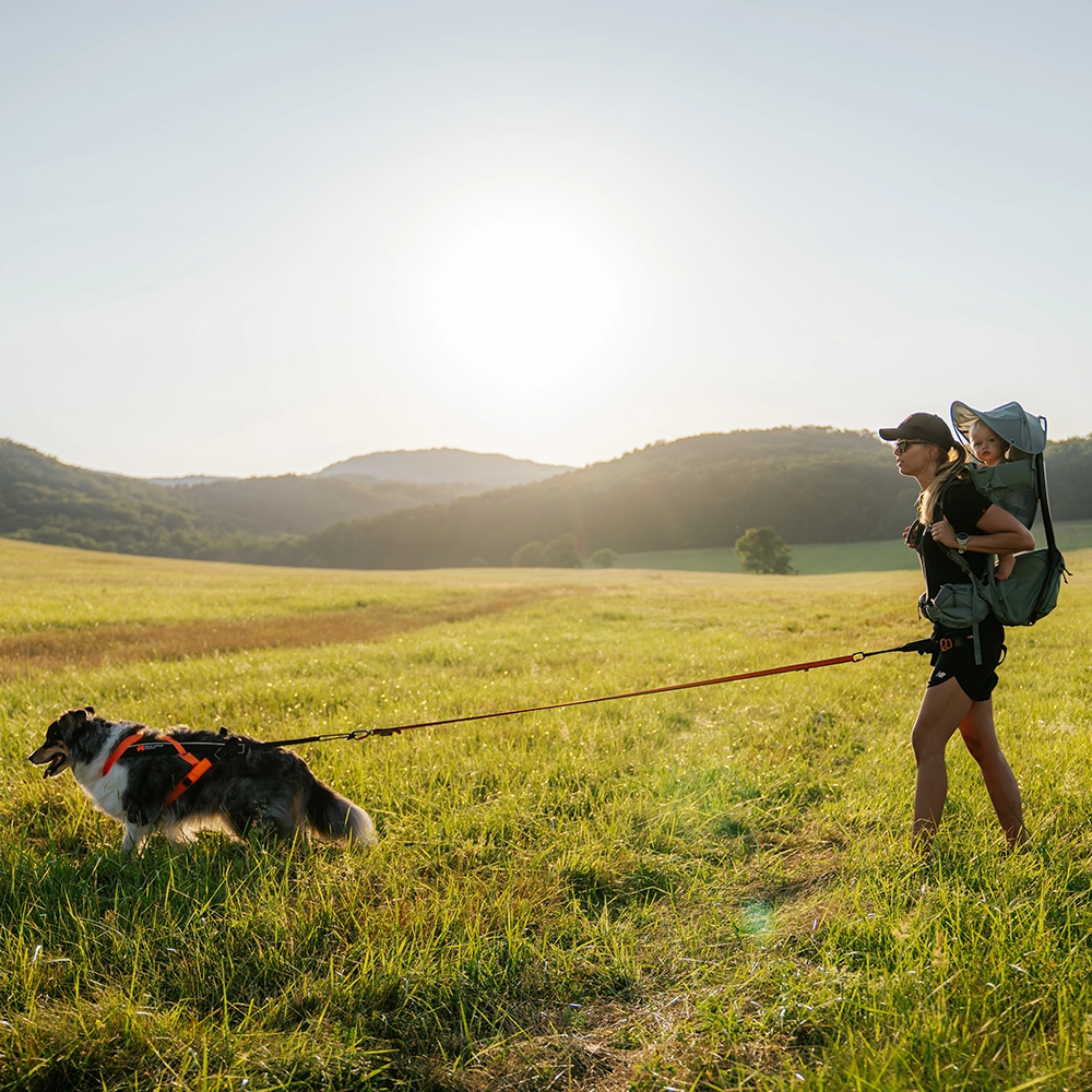 Canix 2.0 pulling belt for dog walking