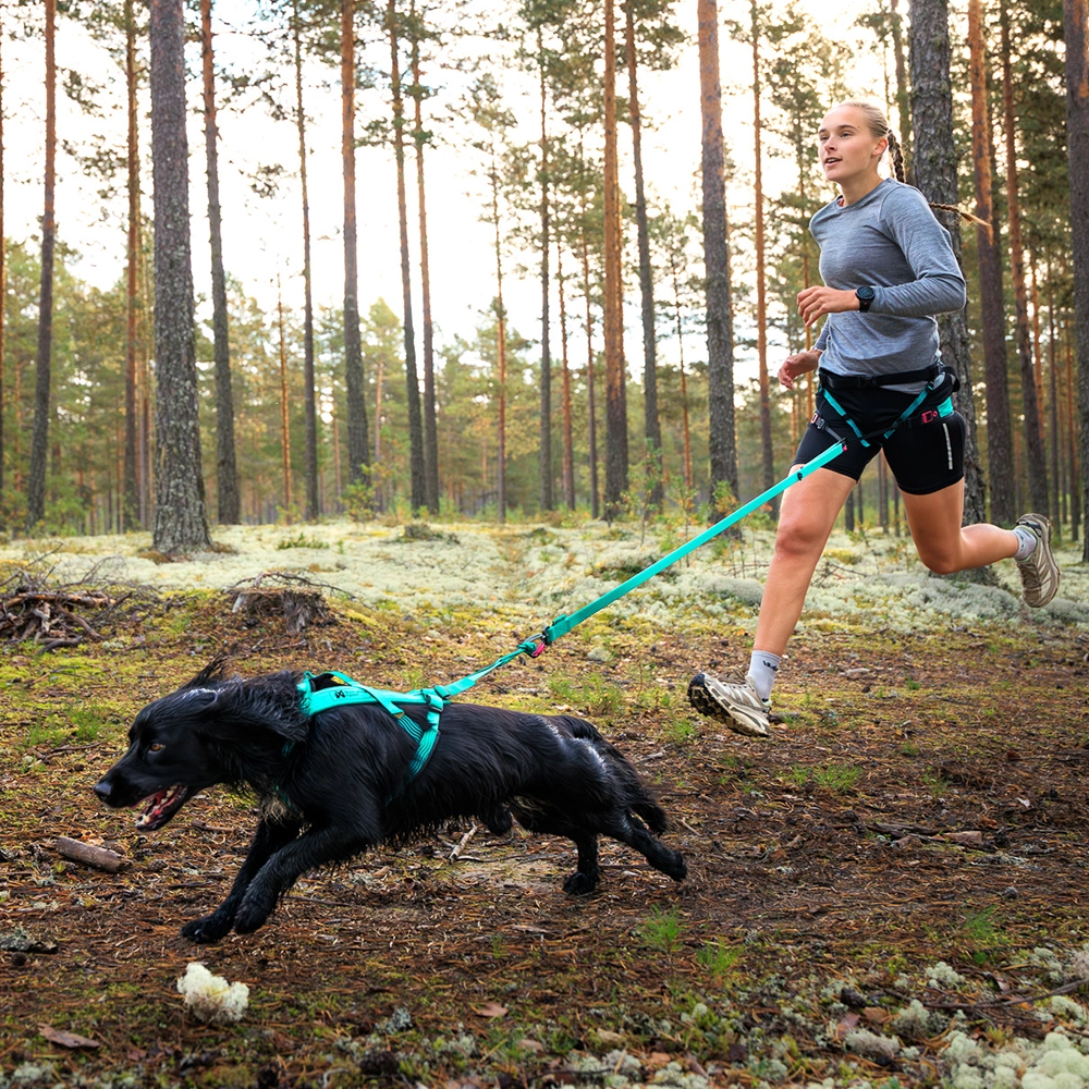 Soft waist belt for canicross running with dog from Non-Stop
