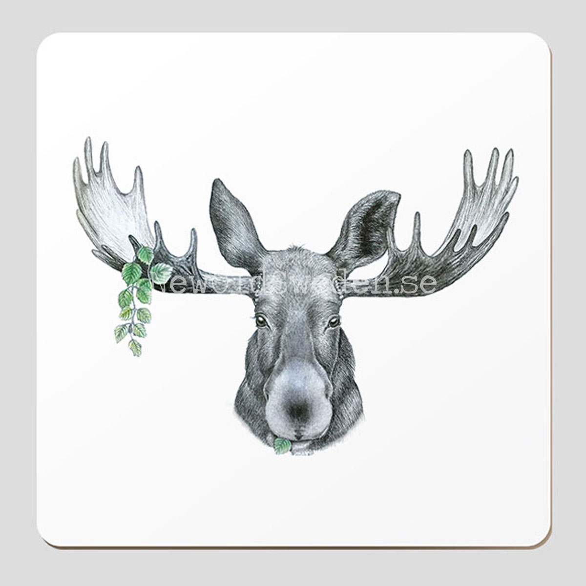FOREST PRINCE - Glasunderlägg - Charlotte Nicolin - G1