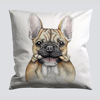 BRUCE 50x50 Kuddfodral - Charlotte Nicolin