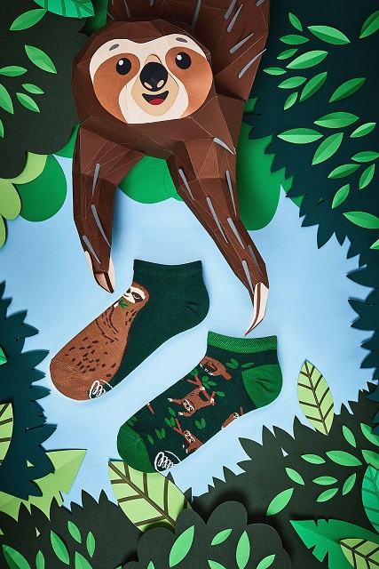  Many Mornings Sloth Life Low Socks - 2