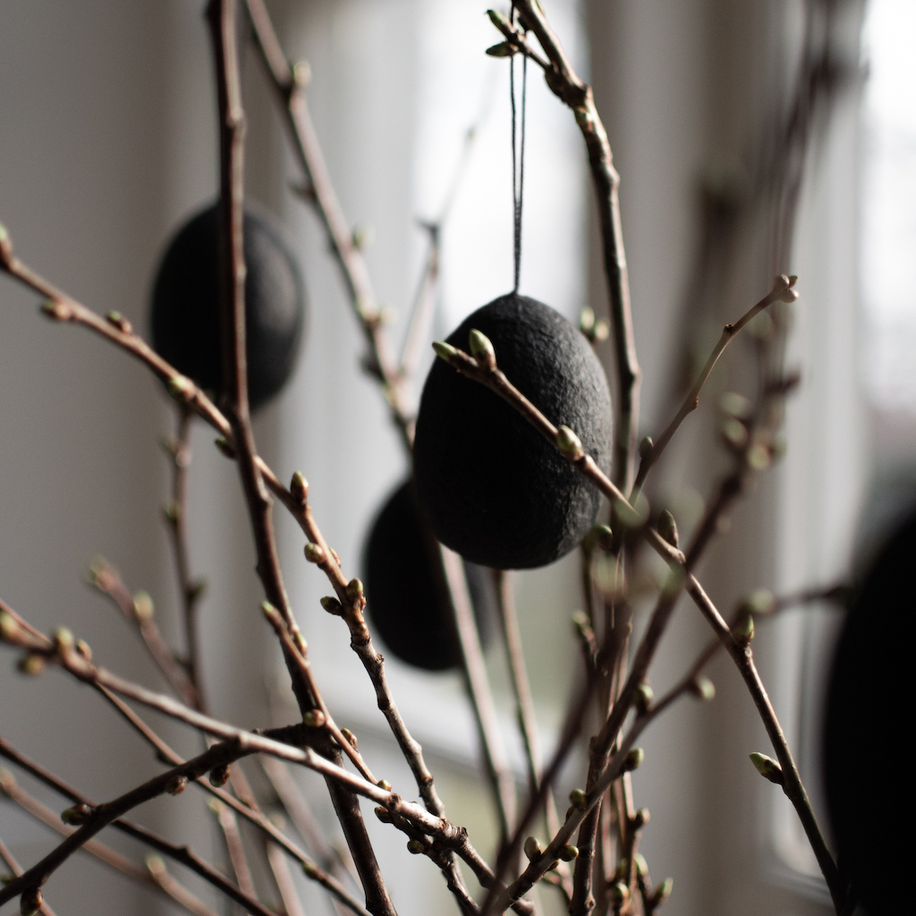 Hängande ägg Twig- svart