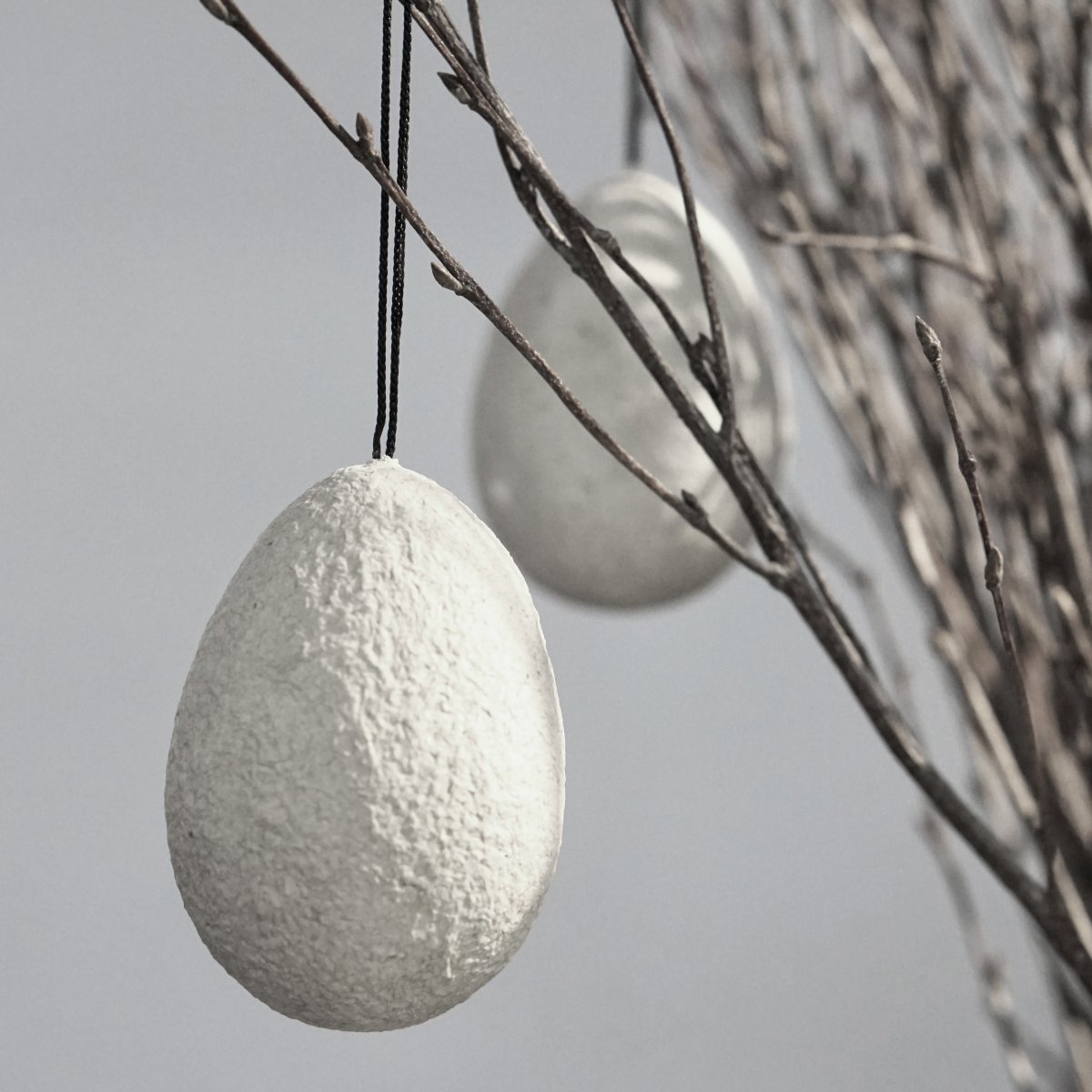 Hängande ägg Twig- grått