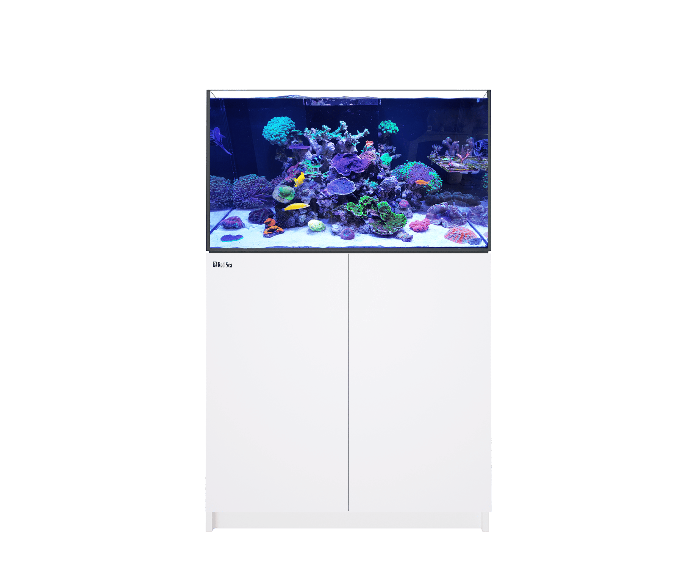 Red sea Reefer G3 akvarium - 3