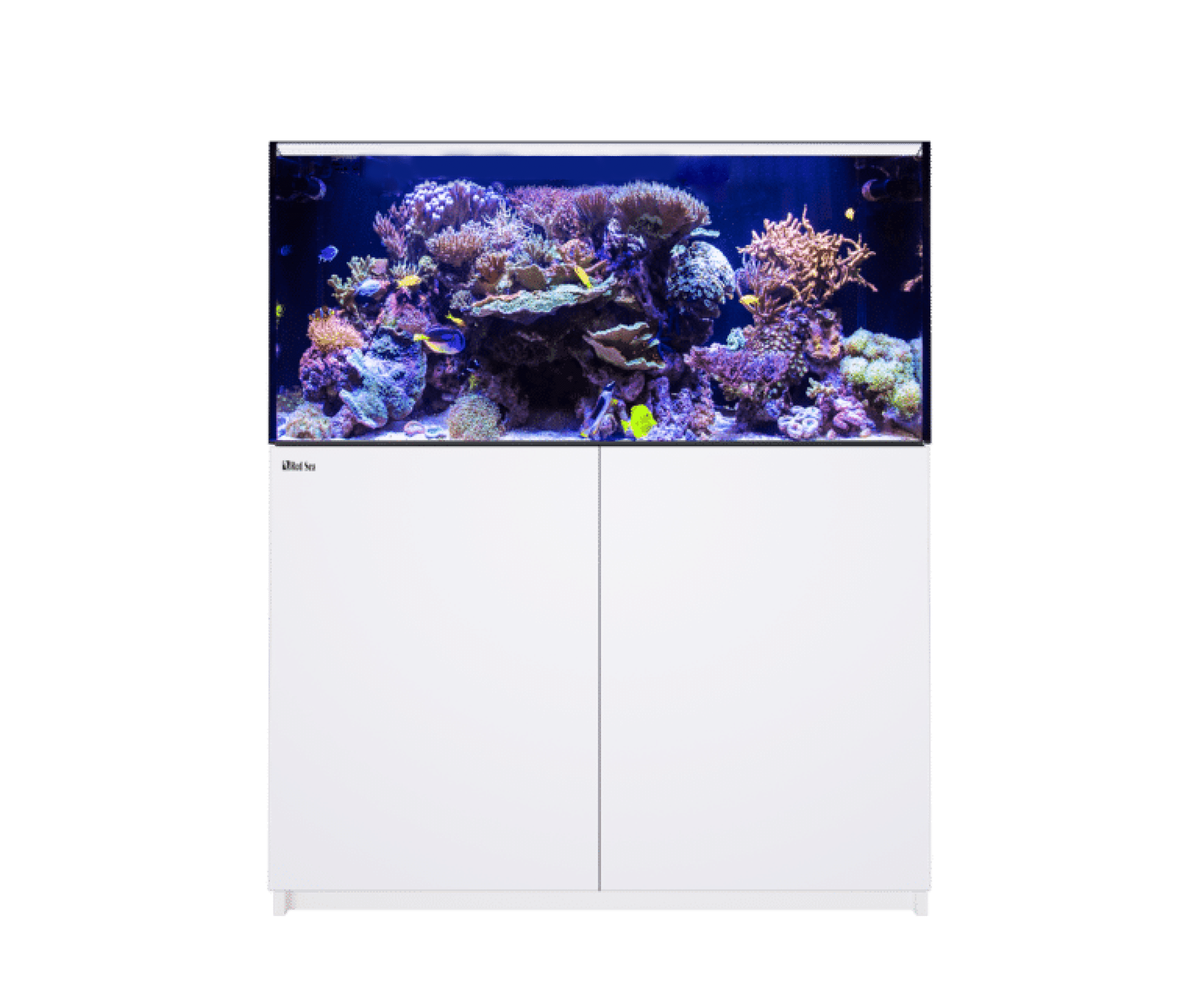 Red sea Reefer G3 Large aquarium - 2