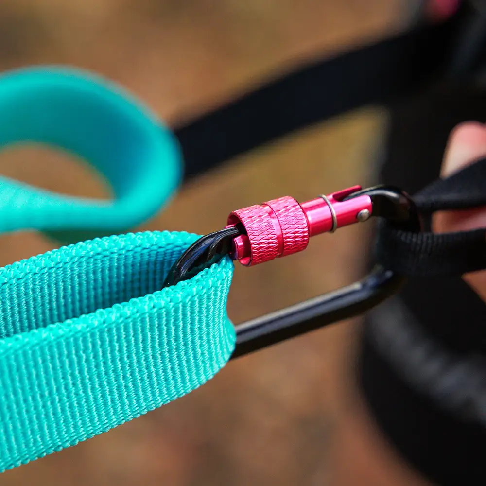 Expander leash for dog
