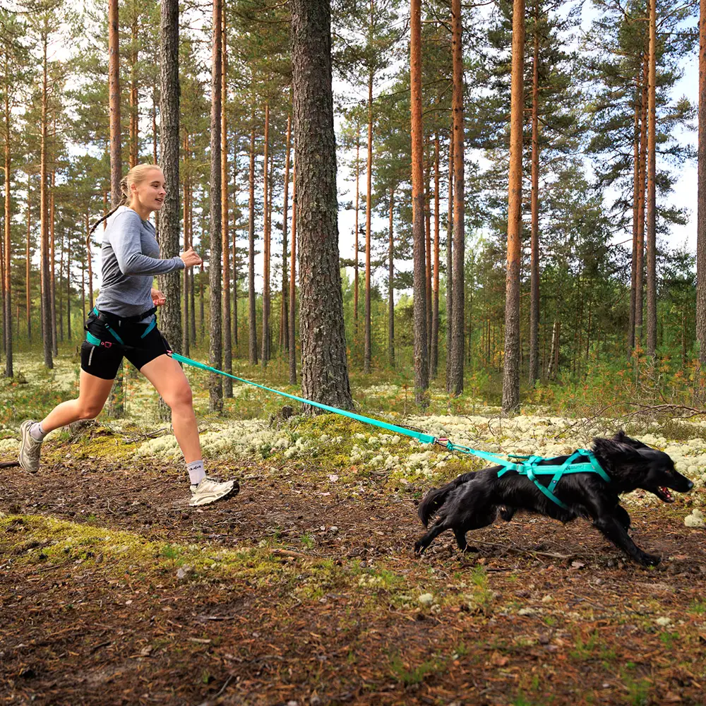 Non-stop Bungee leash - 9