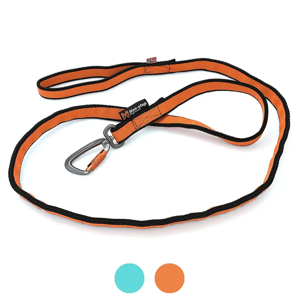 Stylish bungee cord expander leash for pulling with dog Non-Stop