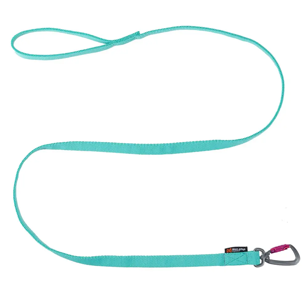 Non-stop Bungee leash