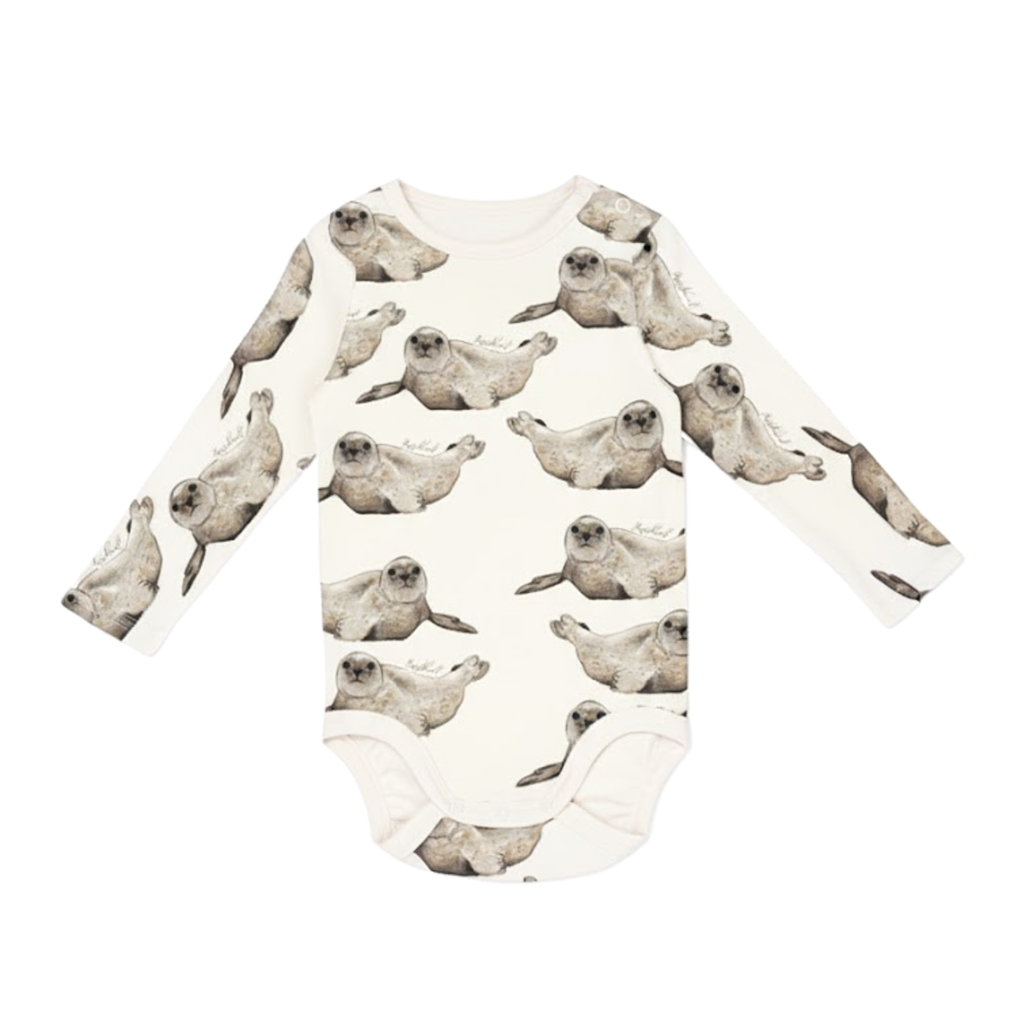 Body knubbsäl - 5