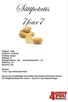 Sättpotatis 7four7  1 Kilo