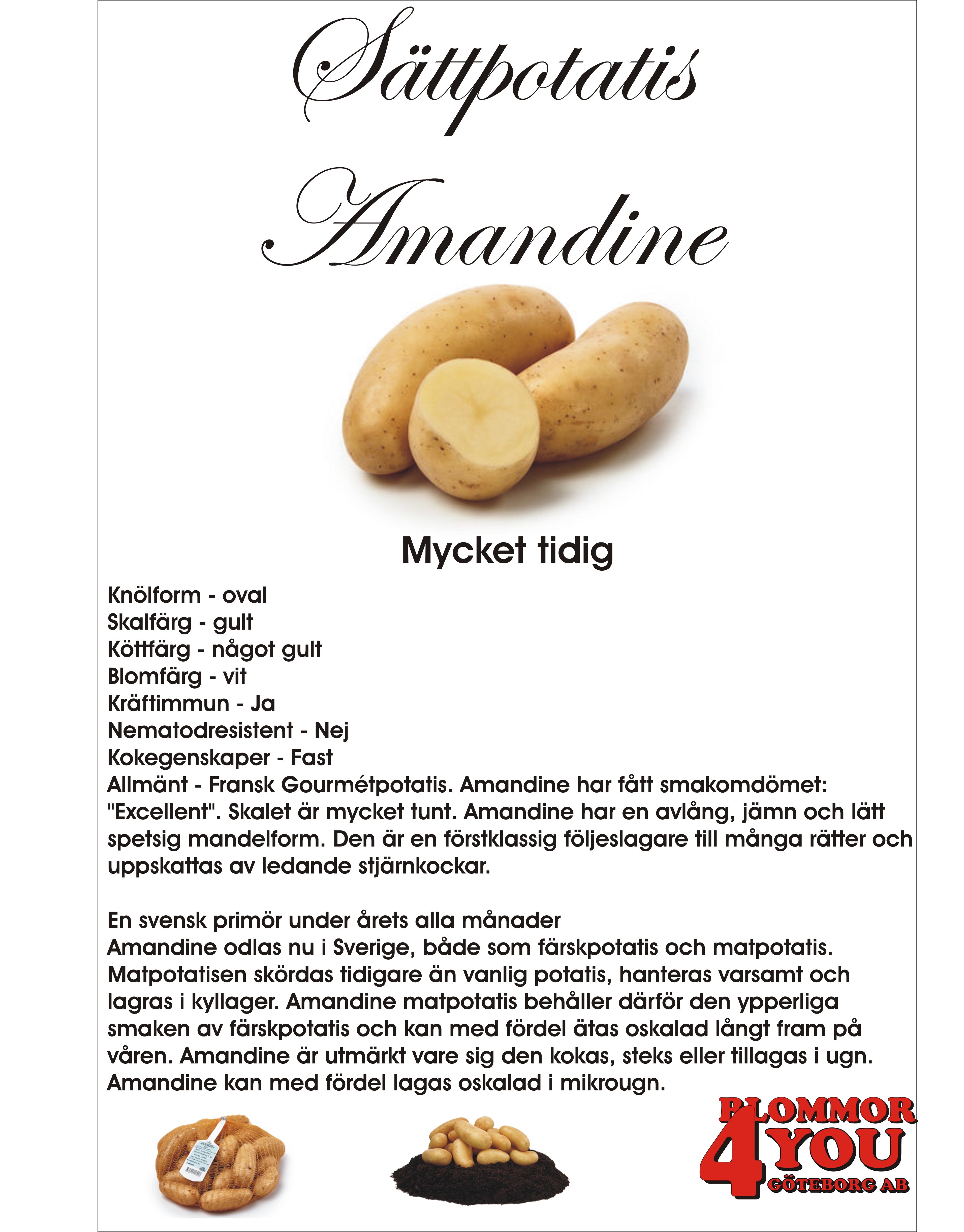 Sättpotatis Amandine  3 Kilo