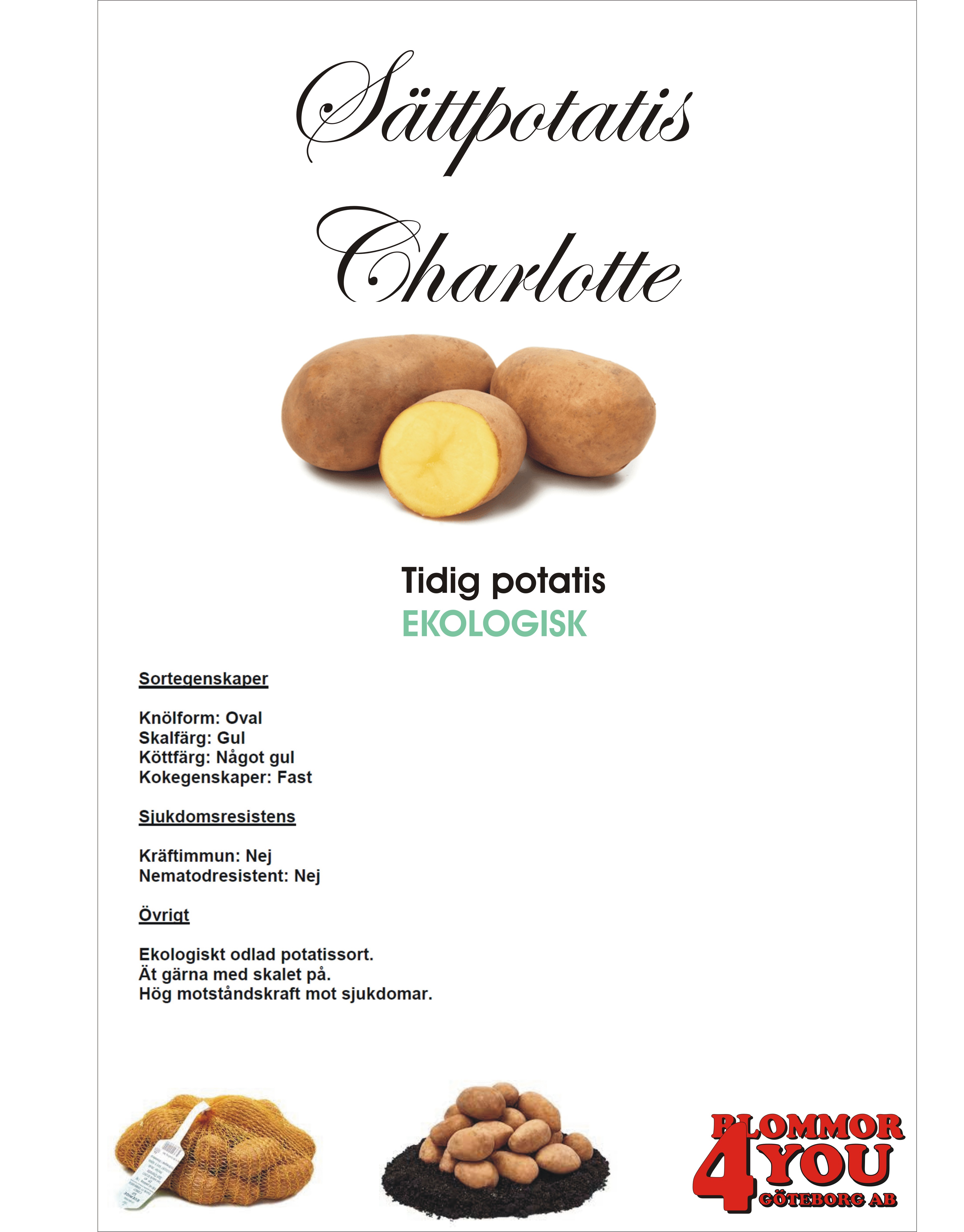 Sättpotatis Charlotte Ekologisk!  1 Kilo