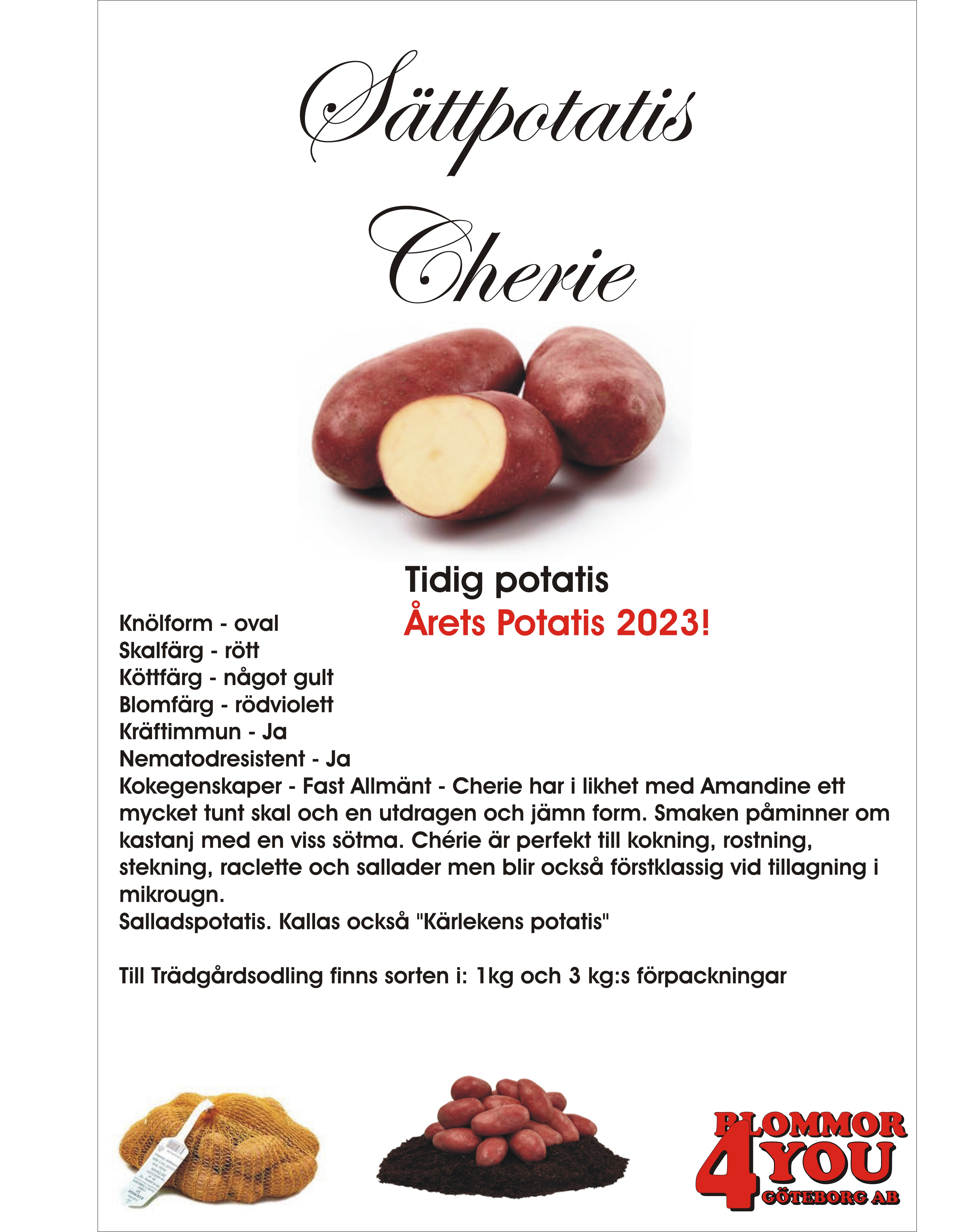Sättpotatis Cherie  3 Kilo