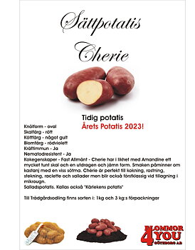 Sättpotatis Cherie  3 Kilo