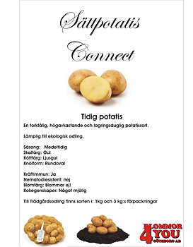 Sättpotatis Connect  3 Kilo
