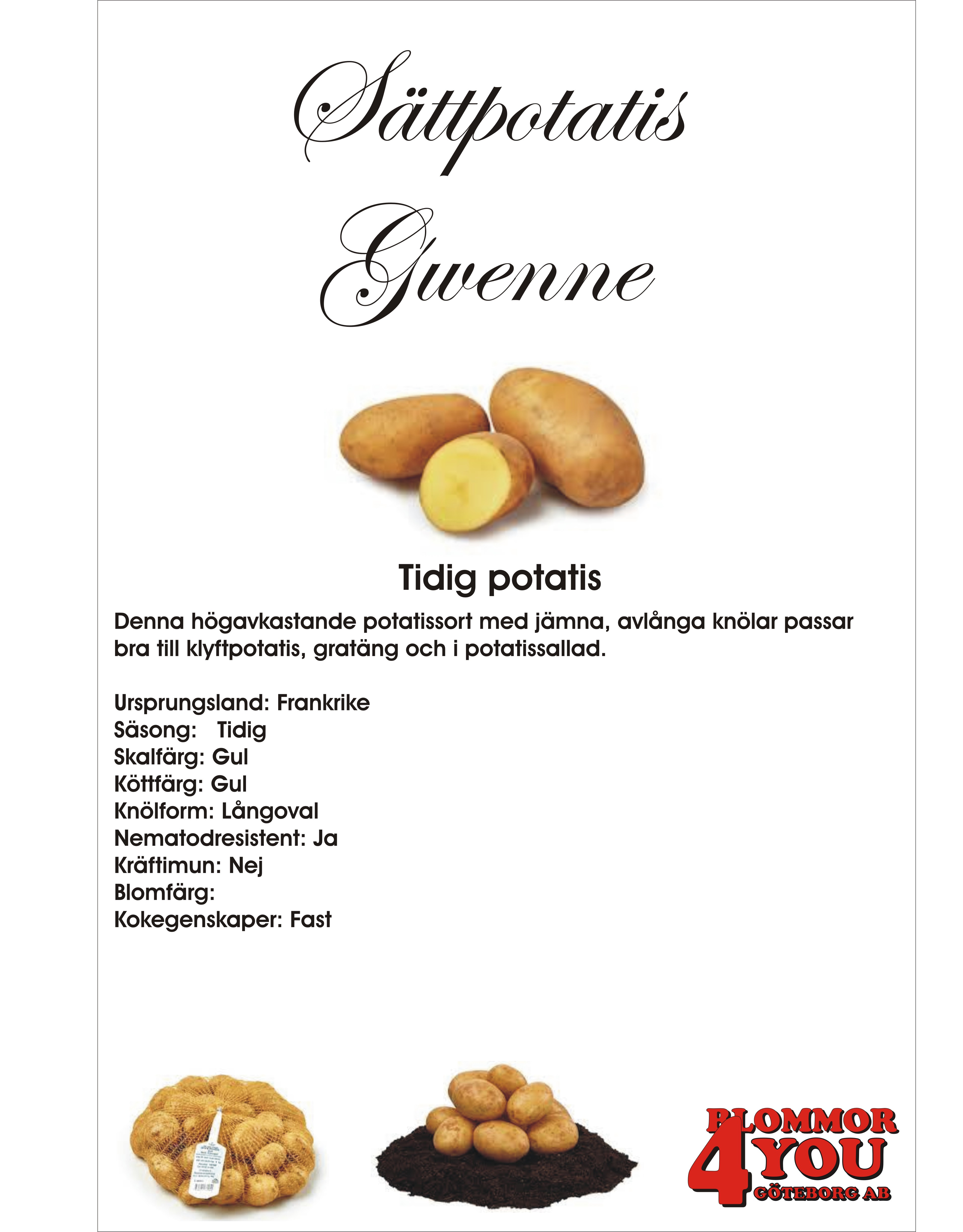 Sättpotatis Gwenne  1 Kilo